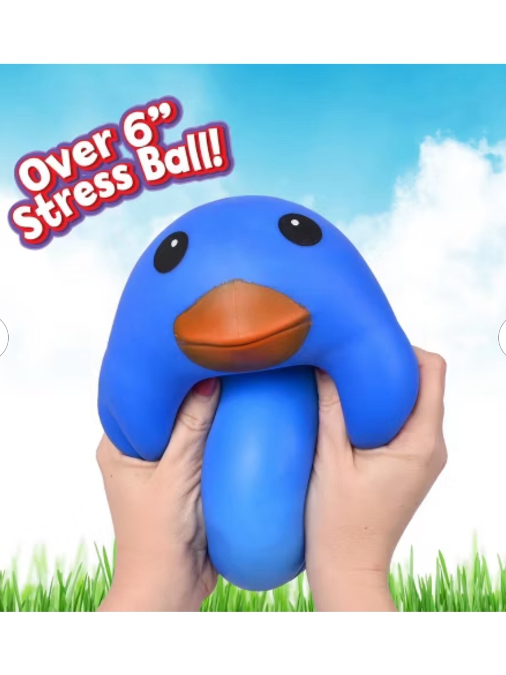 Sunny Days Blue Duck